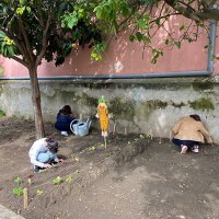 Horta  Biológica na Eugénio dos Santos